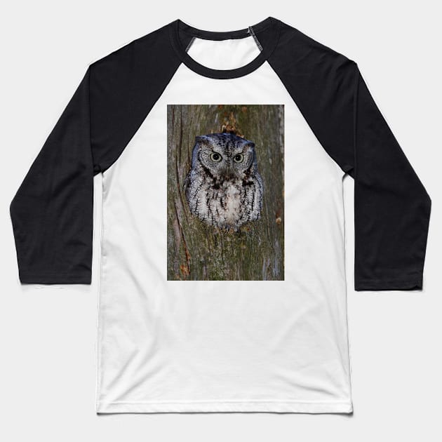 Eastern Screech Owl eye opener Baseball T-Shirt by Jim Cumming